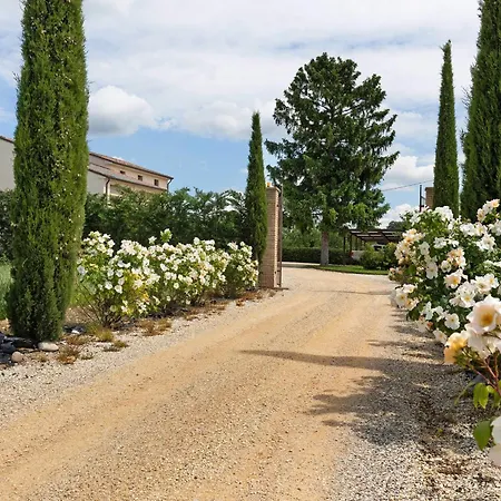 Gospodarstwo agroturystyczne Casa Pezzo Castelnuovo del Garda