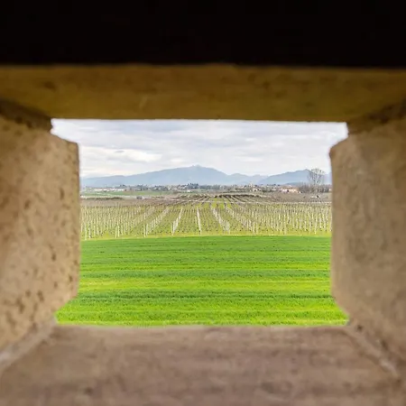 Casa Pezzo Farm stay